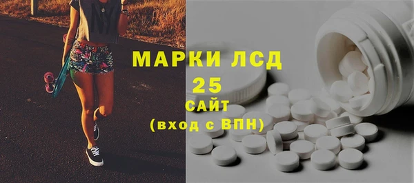 ALPHA PVP Каменка