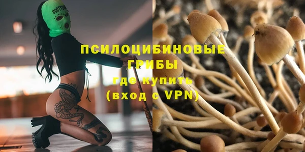 круглые Каменногорск