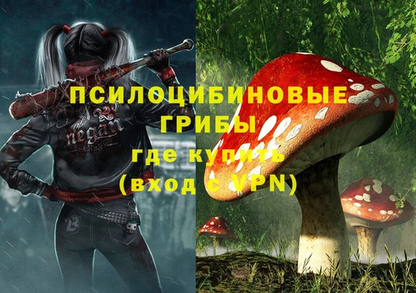 ALPHA PVP Каменка