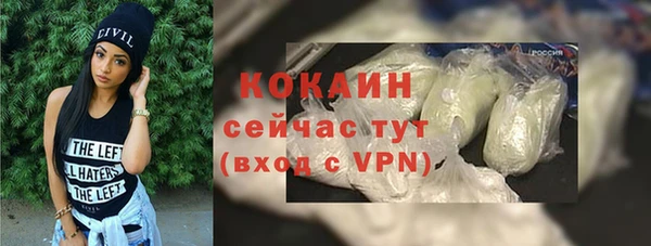 ALPHA PVP Каменка