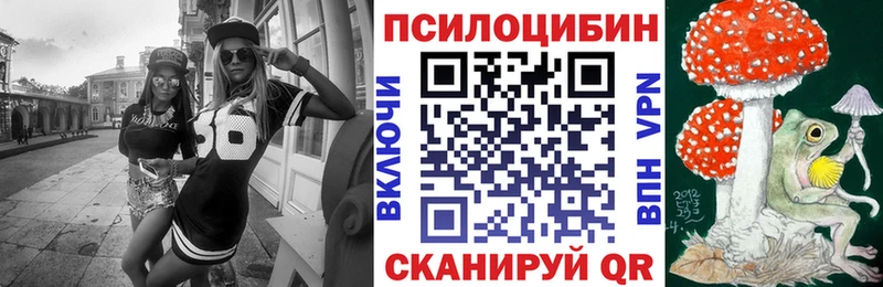 Купить  Сегежа  Галлюциногенные грибы мицелий 